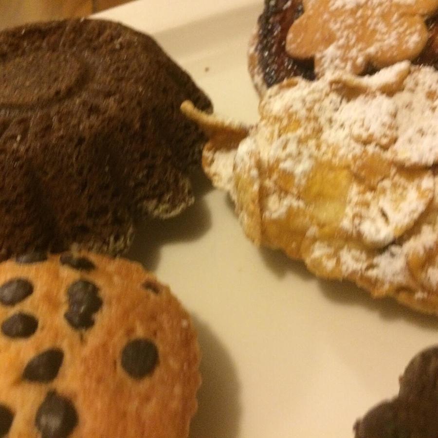 B&B Nonna Anita Narni Zewnętrze zdjęcie
